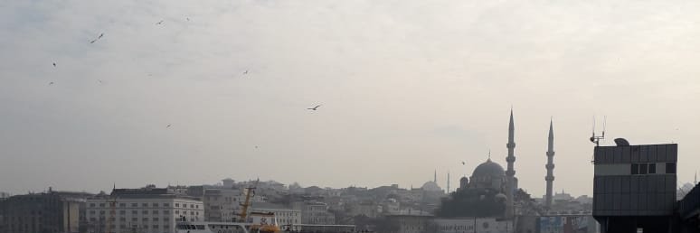 surbhi_hak's profile banner image