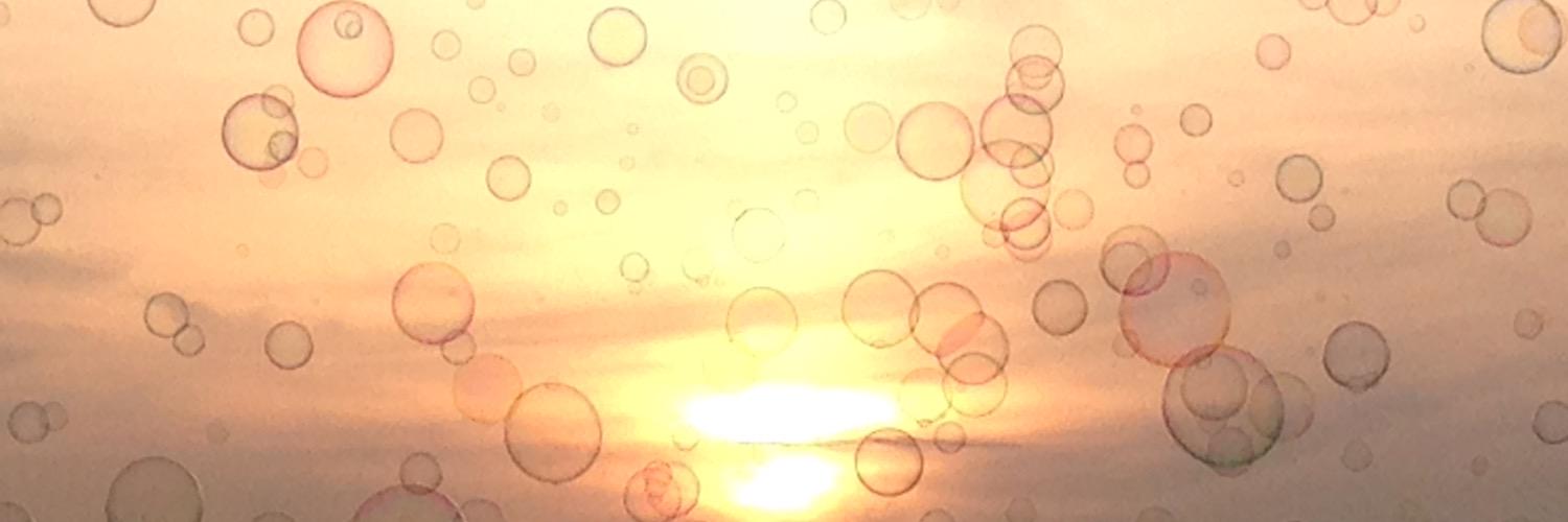 pascalebardo's profile banner image