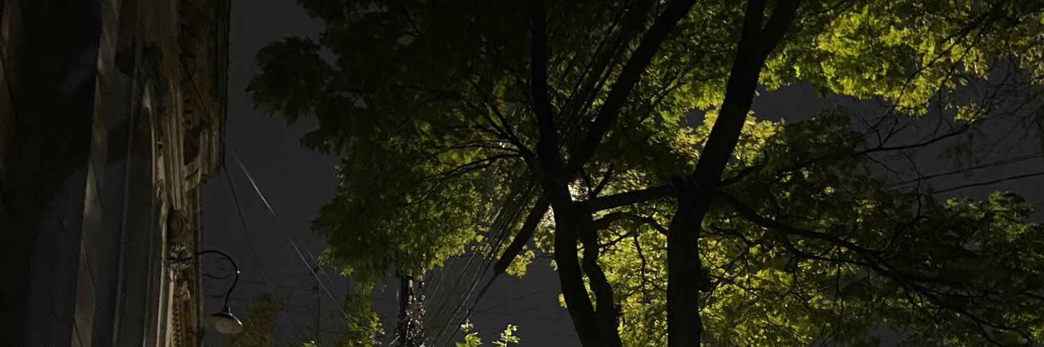 Suertegaray_'s profile banner image