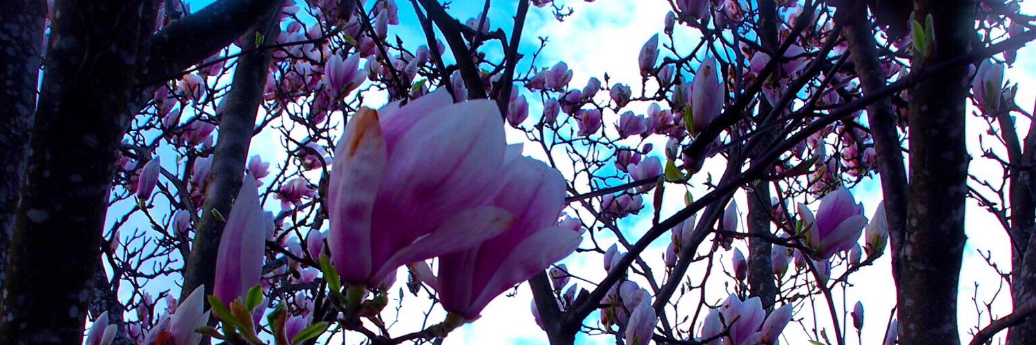 PR_Pernille's profile banner image