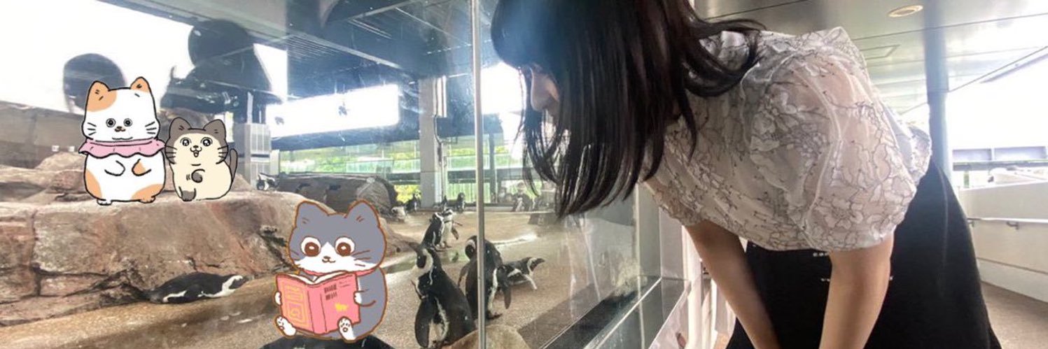 みっし🥚 banner