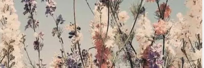 maaria_97_'s profile banner image