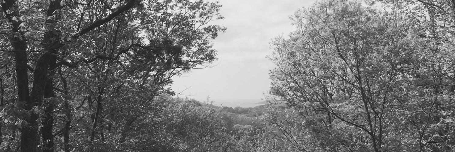 ChillNico's profile banner image