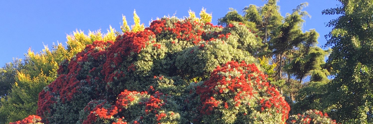 egana_maite's profile banner image