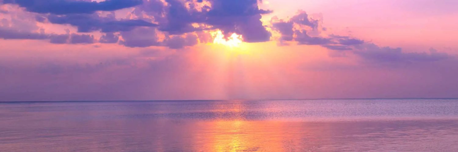 loggylog1's profile banner image