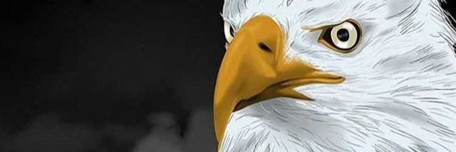 mullaolu's profile banner image