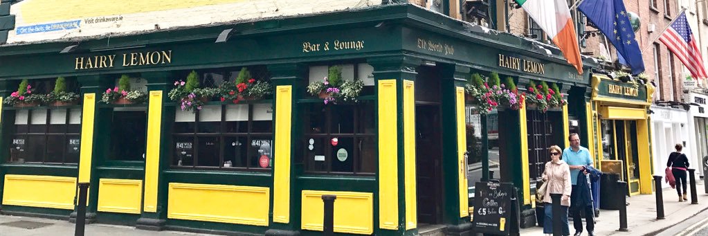 THE HAIRY LEMON banner