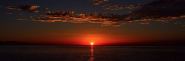 jalmohri Profile Banner