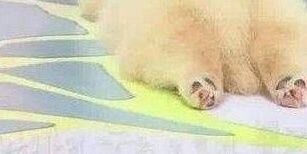 AFL_HTL2's profile banner image
