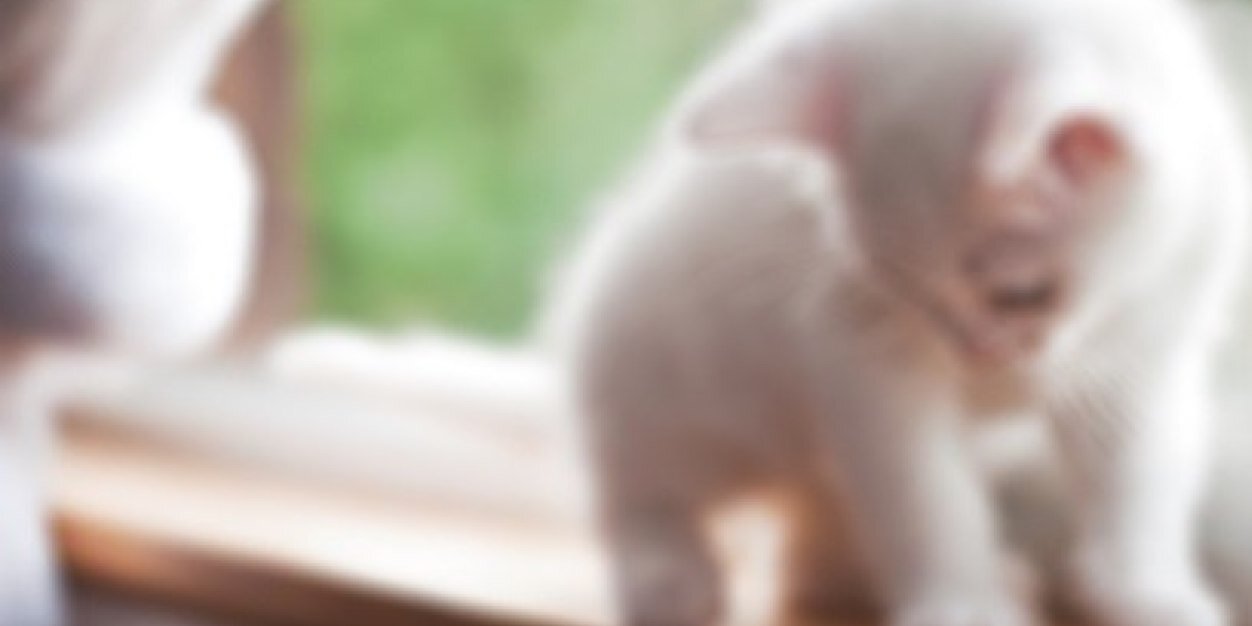 hRWHITEKn's profile banner image