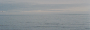 harrydltgdr's profile banner image