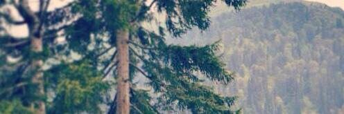 sholarjames's profile banner image