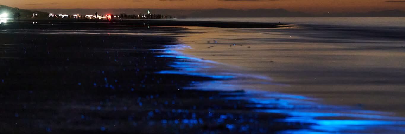 Heather..✨️🇳🇿 banner