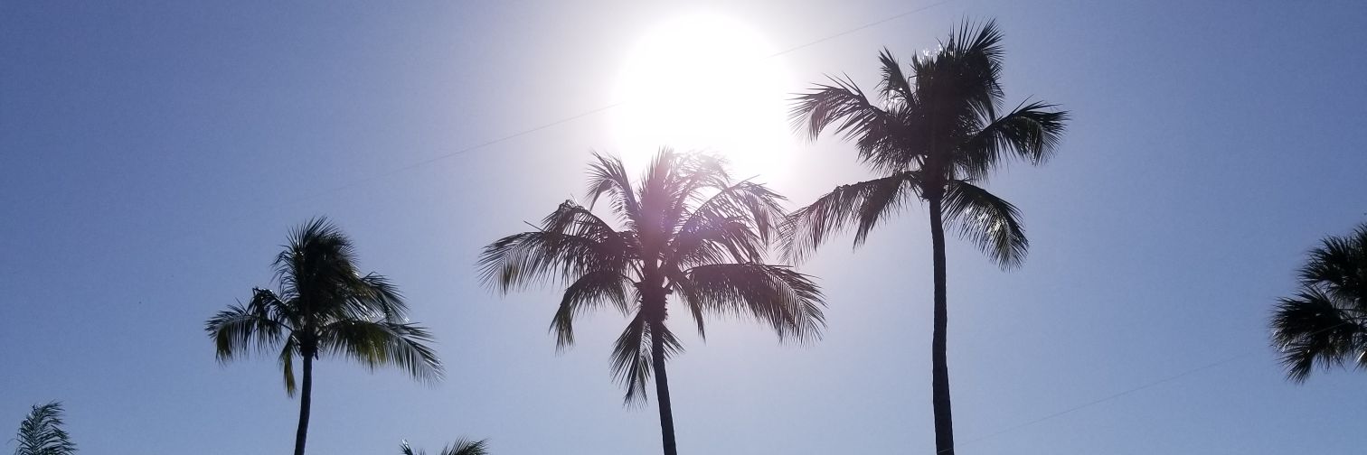 smbels's profile banner image
