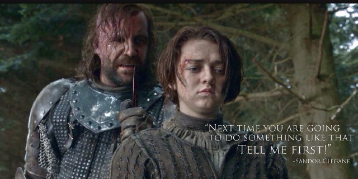 Sandor Clegane banner