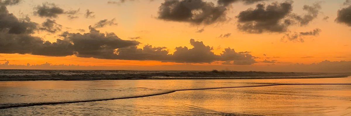 ®️ banner