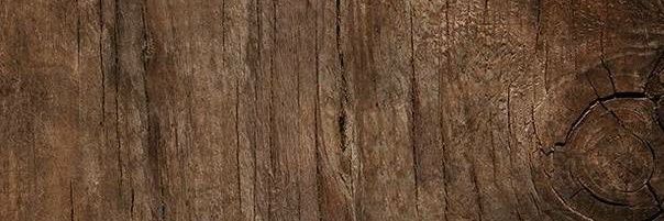 Treebeardgamer's profile banner image