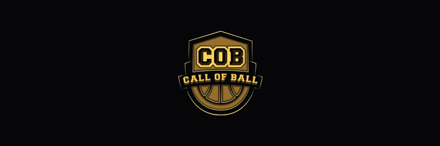 Call of Ball banner