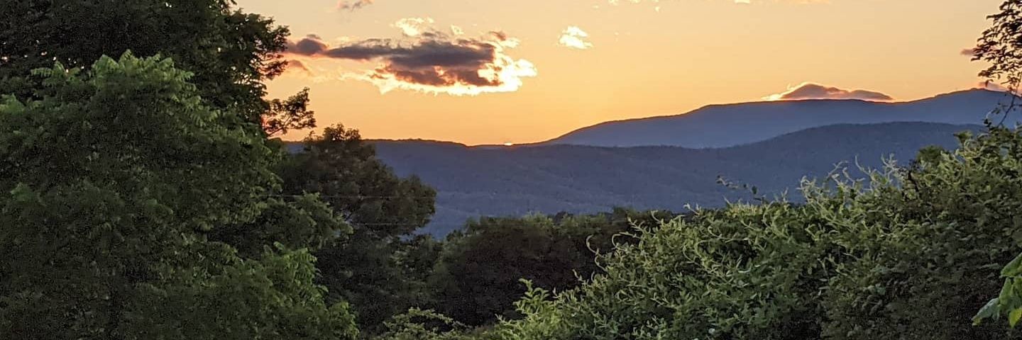 Lauren Counts banner