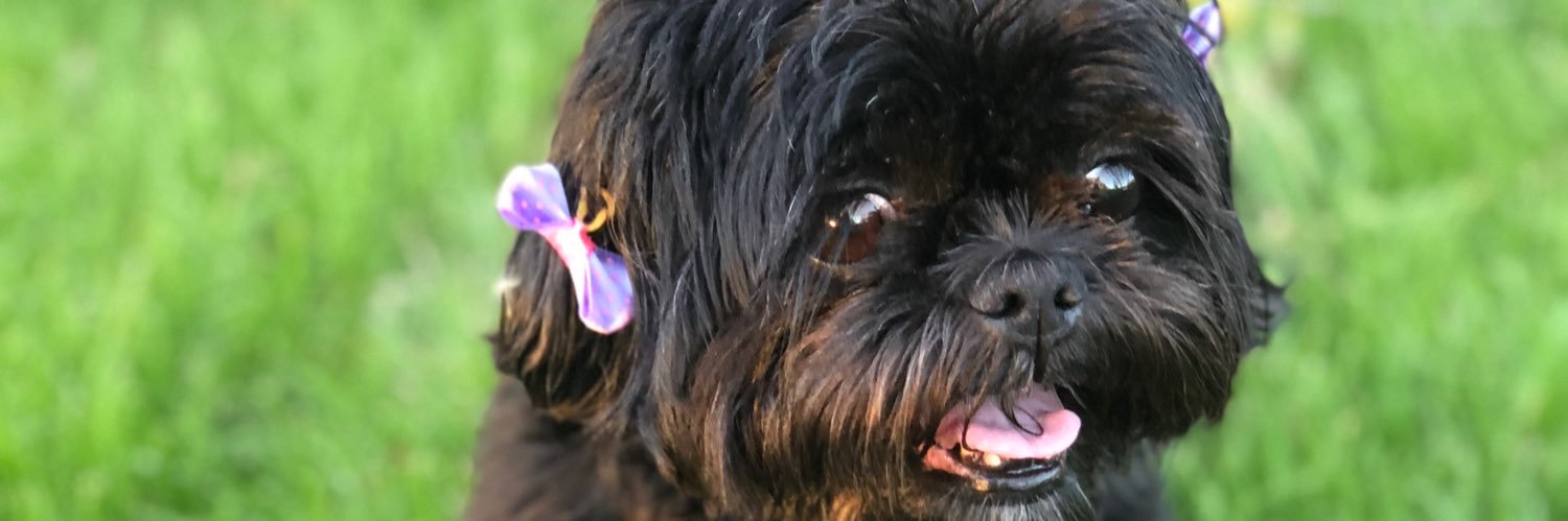 tiffydanielle7's profile banner image