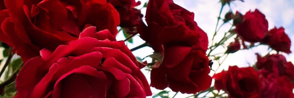 5_ho_'s profile banner image