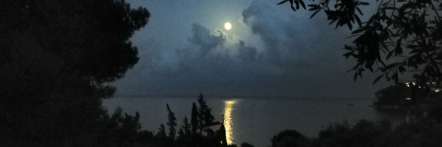 Dimitra_X_282's profile banner image