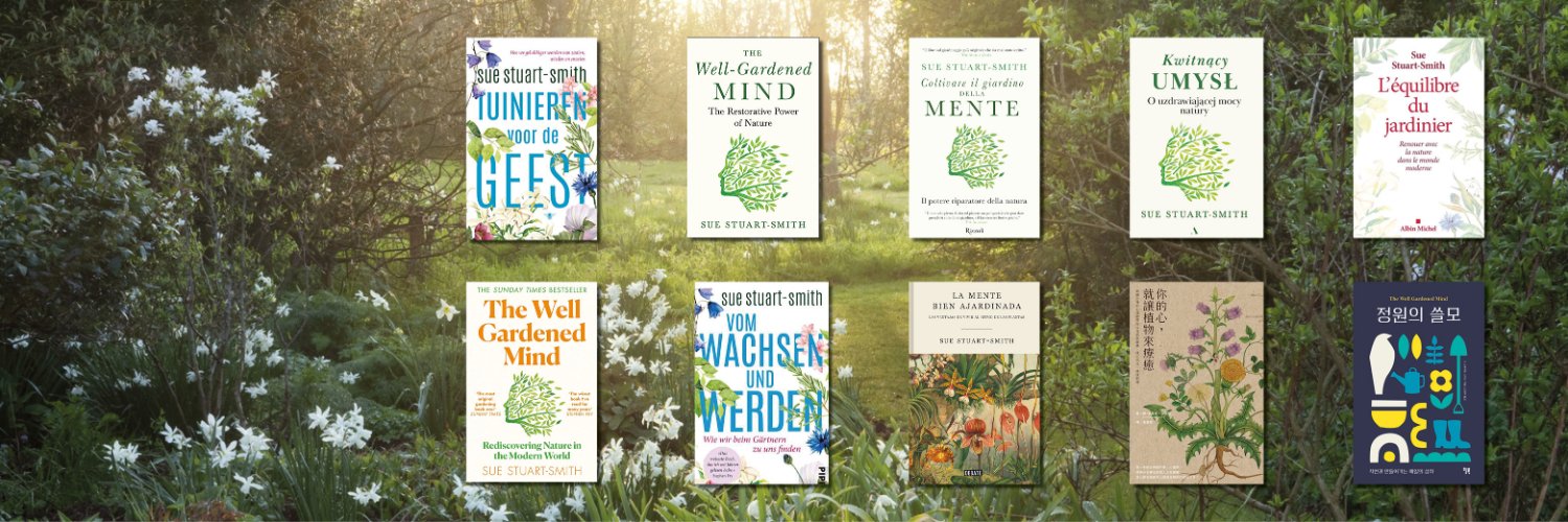 Sue Stuart-Smith 💙 banner