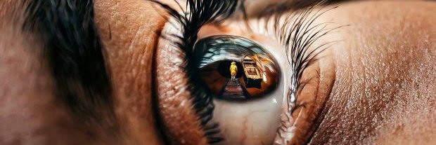 Facelessflower's profile banner image