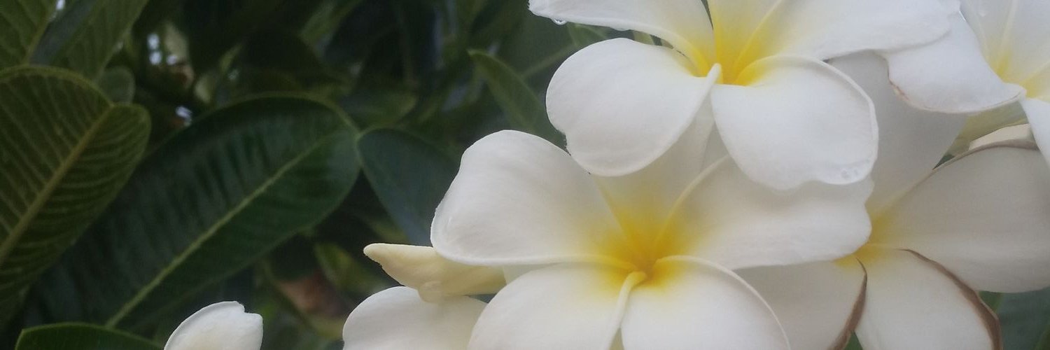 fatema3232's profile banner image
