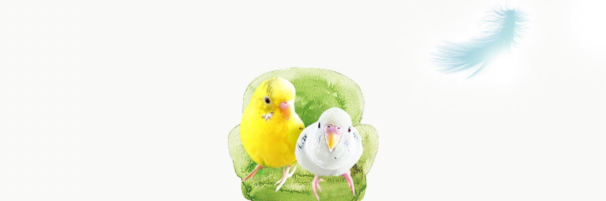 amotdesign's profile banner image