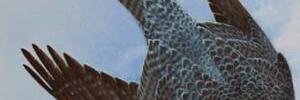 Eddy1864's profile banner image