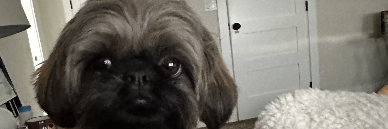 MrDanielBennett's profile banner image