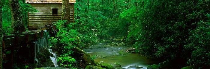 Nick Goodnight PhD banner