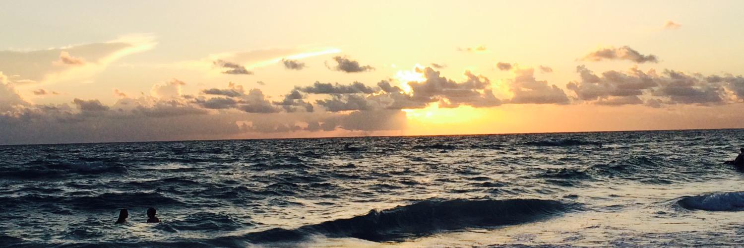 PinkhardhatFL's profile banner image