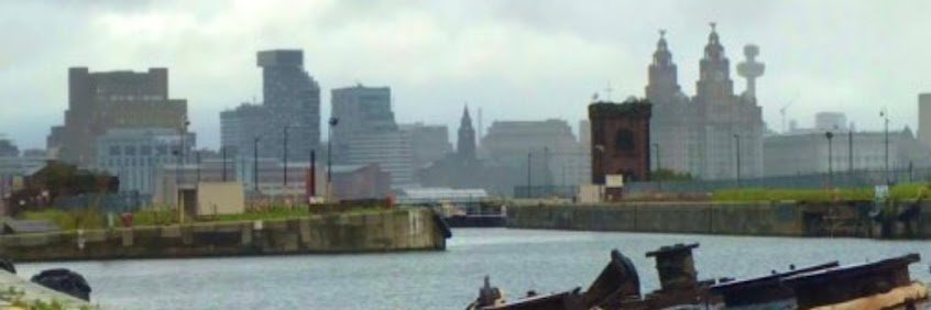 Daf Williams 🇵🇸🍉 banner