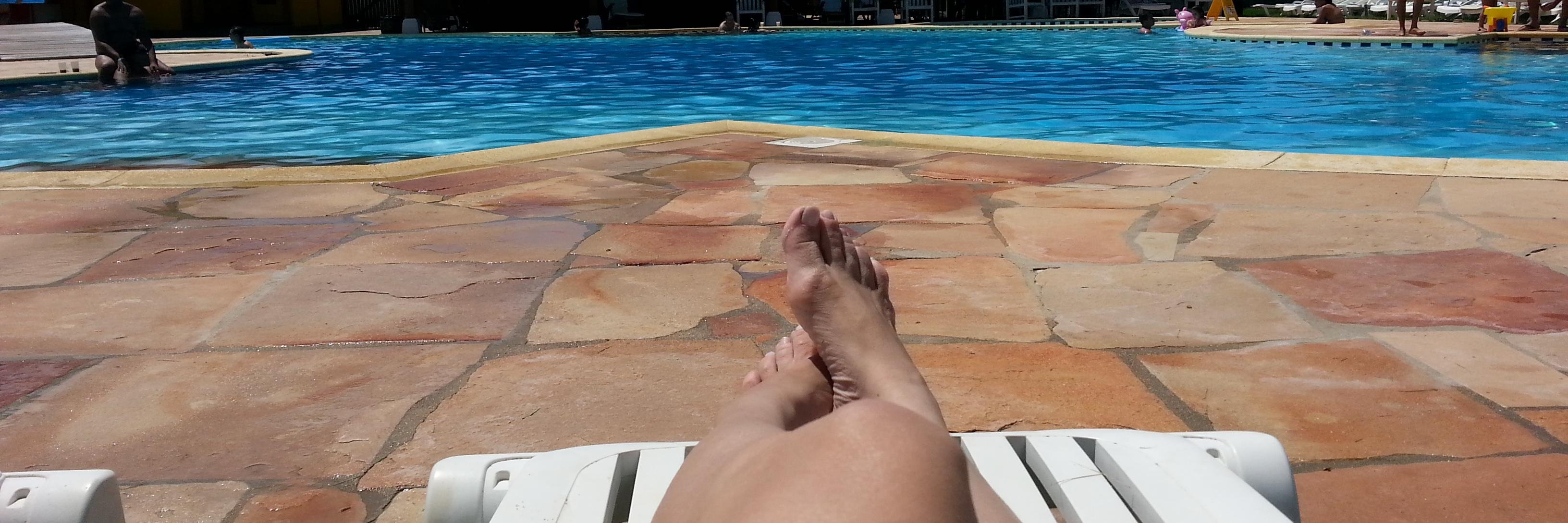 Luciana Camargo  banner