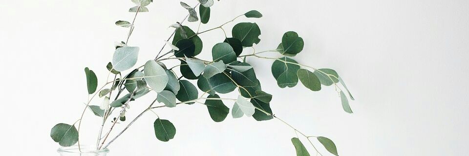 ednaalcala's profile banner image