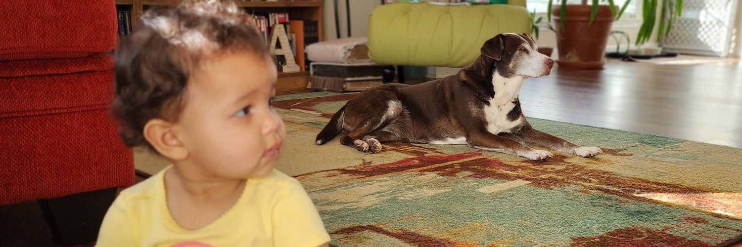 ✋🏾 Fat Hand 🤚🏾 banner