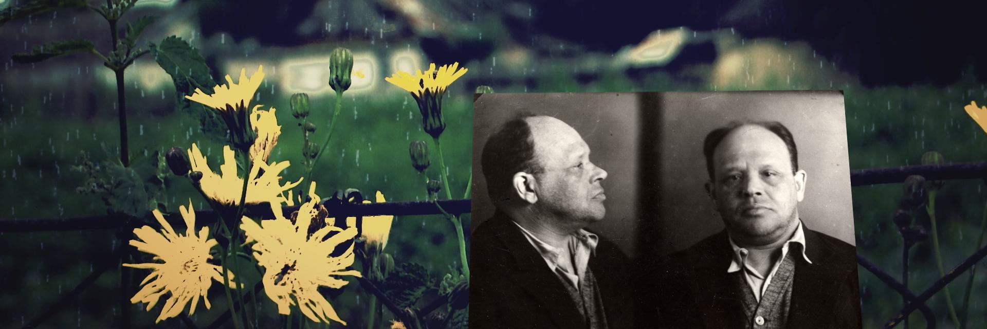 Finding Babel banner