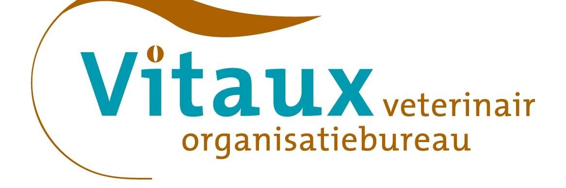 VitauxBV's profile banner image