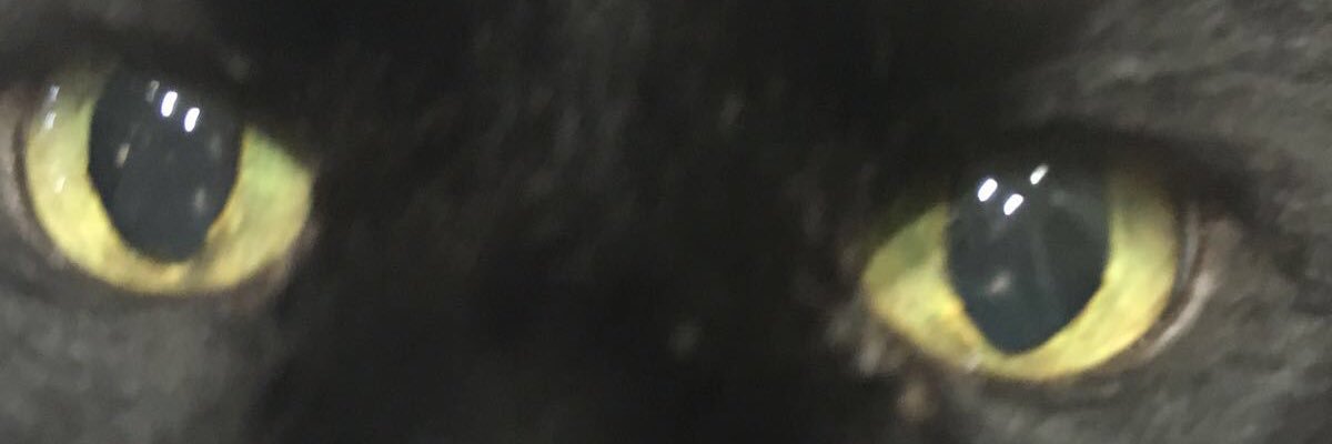 JenkKath1965's profile banner image
