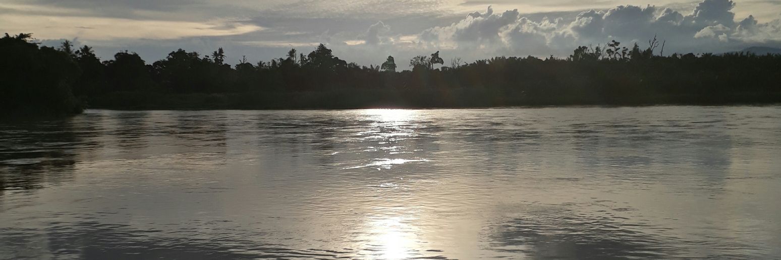 sallfk's profile banner image