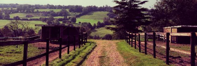 AndoverHall's profile banner image