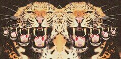 cintaaa banner