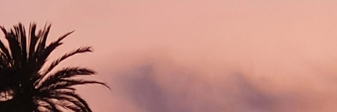 cumeela_c's profile banner image