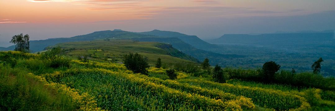 Amit Kulkarni banner