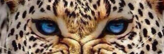 MachadoArthurCP's profile banner image