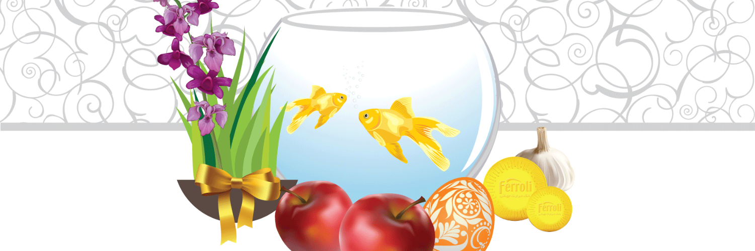 Ferroli Cointra SAT banner