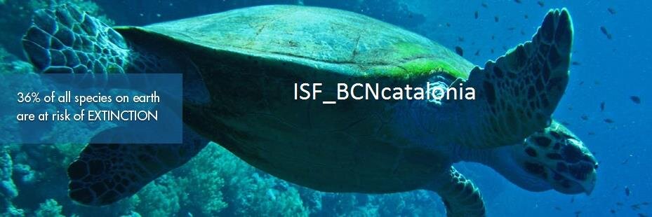 isf_bcn_cat's profile banner image