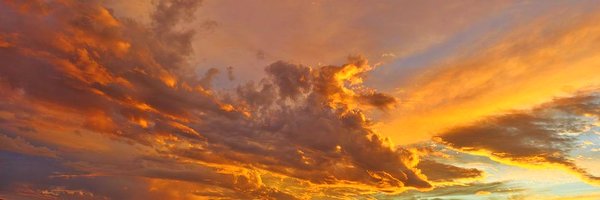 00Bohr Profile Banner